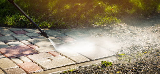 Best Animal Enclosure Cleaning  in Marlin, TX